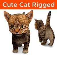 Wild  Cute cartoon Cat Rigged 3D