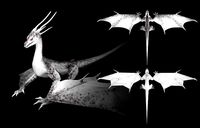 Lowpoly Animated Storm Dragon
