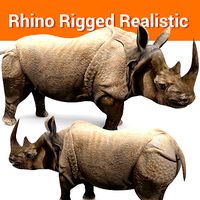 3D rhino rhinoceros Rigged realistic low poly