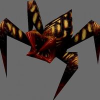 Pseudospider