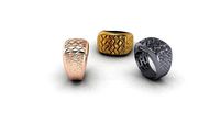 zbrush ring  | 3D