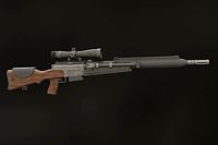 Sniper rifle FR-F2
