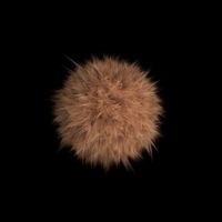 Brown fur