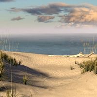 Beach Scene