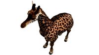 Giraffe Masai Fur