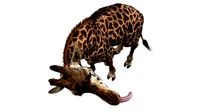 Giraffe Masai Fur Rigged