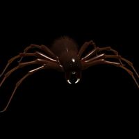 simon creature spider