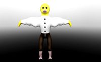 duckling in a shirt