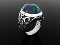 ring dk2 | 3D