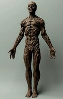 Corrupted Anatomy | 3D