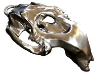 Cranium Charm Dugong | 3D