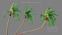 Animated Cocos nucifera palm for 3ds Max