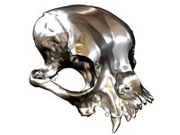Cranium Charm Bulldog | 3D
