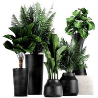 Collection of decorative plants in flowerpots 830