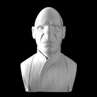 Voldemort 3D Print Ready | 3D