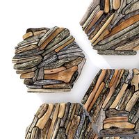 Hexagon panel branch splinter n1