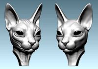 Cat Sphynx Head | 3D
