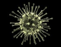 Virus