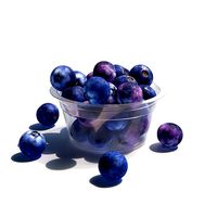 Blueberry