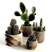 Cactus Collection