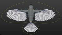 Great Tit- Body Mesh with rig and shaders