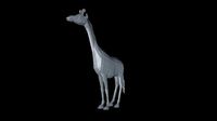 giraff