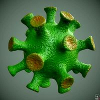 Coronavirus - PBR -