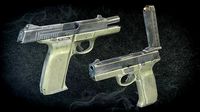 Ruger SR9