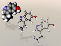 Serotonin molecule