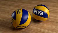 Volleyball FIVB 300 PBR