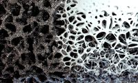Bone structure and nanomaterial