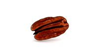 Pecan nut Photoscan