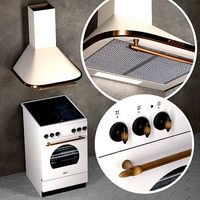 Stove with range hood