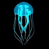 jellyfish glowing