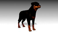 Rottweiler Animated