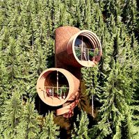 Modern Tree House 2