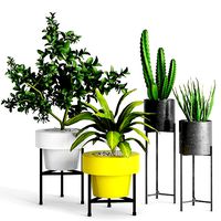 Plants And Planters 3