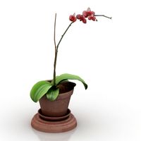 Flower 3D Model