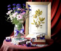 Bouquet of wildflowers