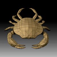 3D CRAB