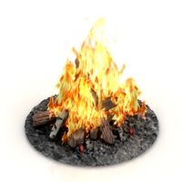 Fire 3D Model