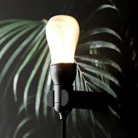 LLOT LLOV and PLUMEN Lightbulb