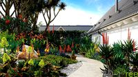 3DTree Bundle 02 - Mediterranean Garden