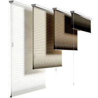 Duolite blinds HUNTER DOUGLAS