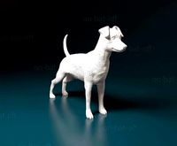 Miniature Pinscher | 3D