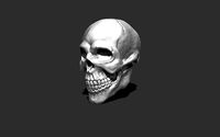 Human Skull - Realistic - Retopologized