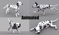 dog dalmatain spotty dog
