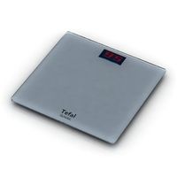 Scales 3D Model