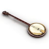 Banjo 3D Model
