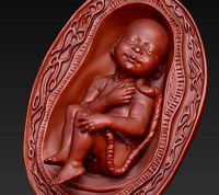 Baby in a womb | 3D
